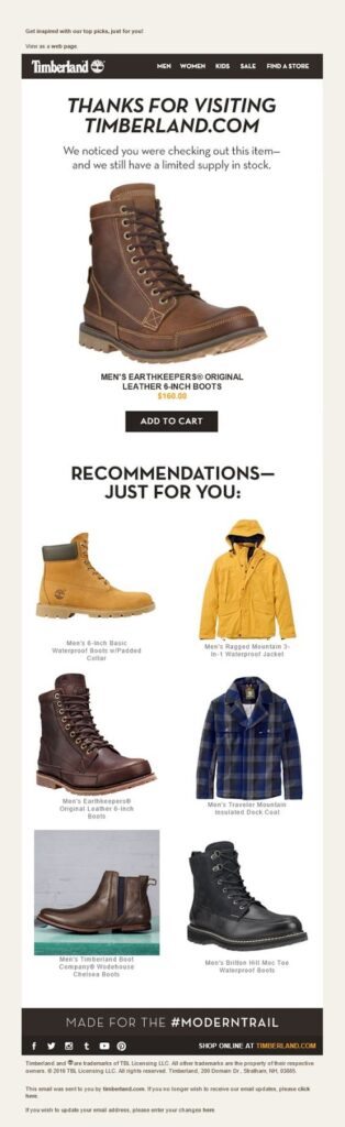 Timberland browse abandonment email example
