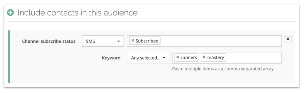 Example of audience building in Cordial