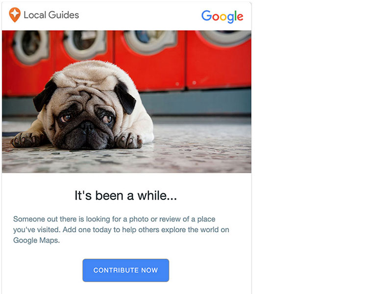 Triggered Emails - It's Been a While Example - Local Guides
