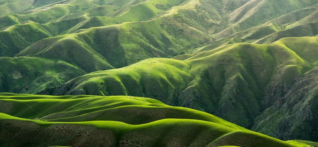 Green hillside