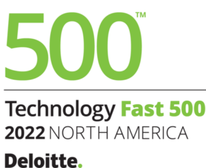 Deloitte Fast 500 Icon