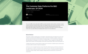 Image of The Customer Data Platforms For B2C Landscape, Q1 2024